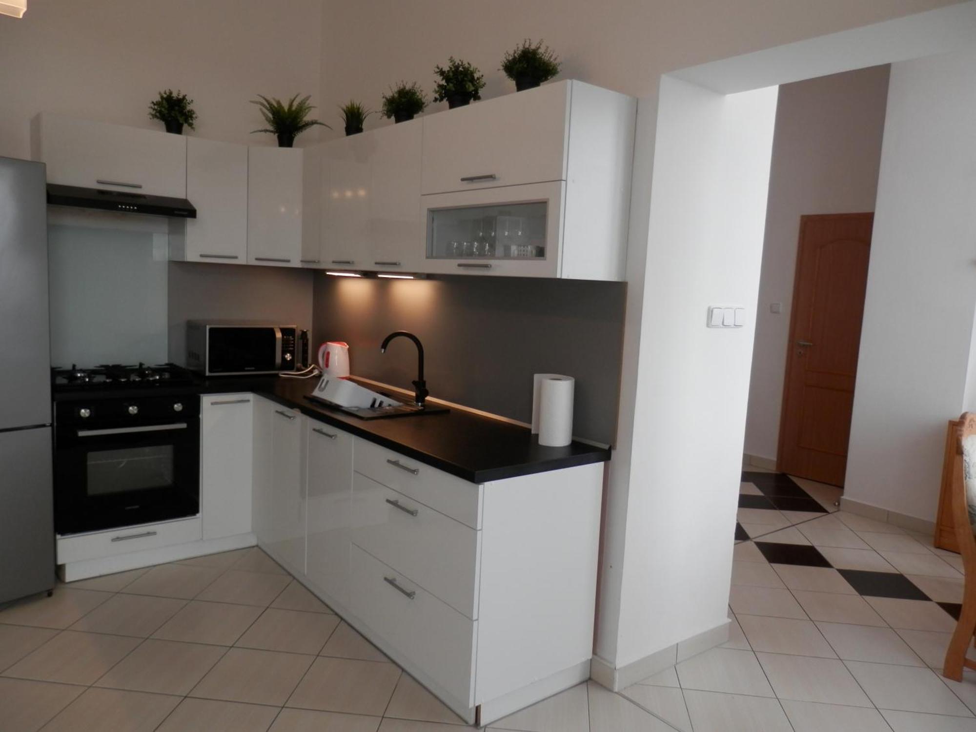 Spacious Apartment Below Spilberk Castle Brno Luaran gambar